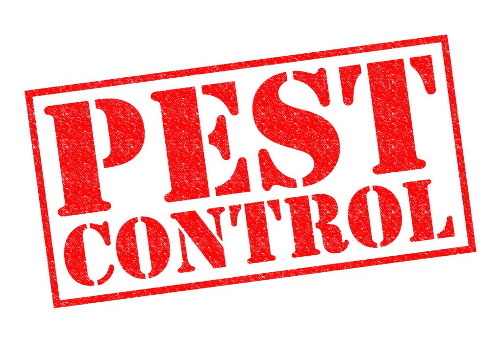 spraying for cockroaches