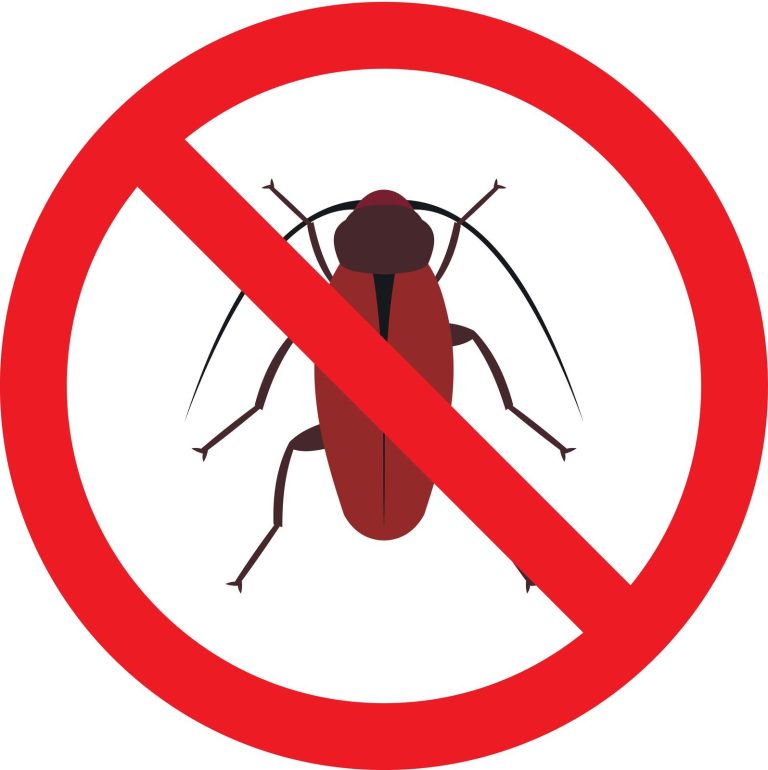 oriental cockroach in house